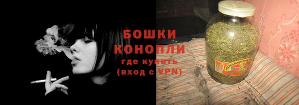 PSILOCYBIN Аркадак