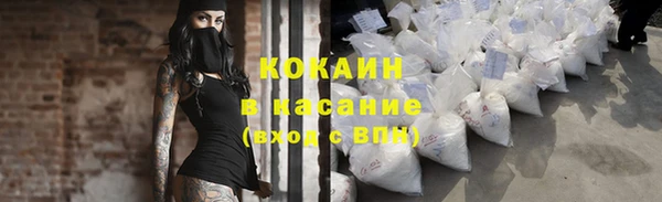 сатива Арсеньев