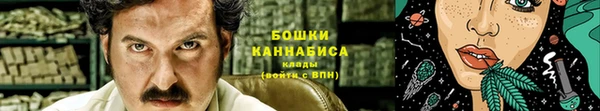 PSILOCYBIN Аркадак