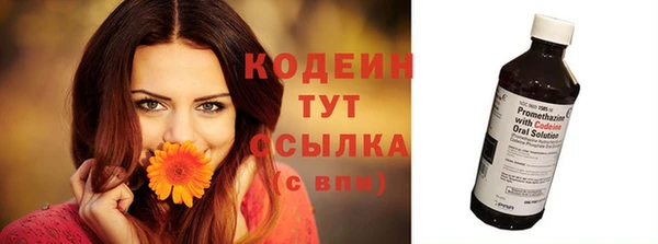 сатива Арсеньев