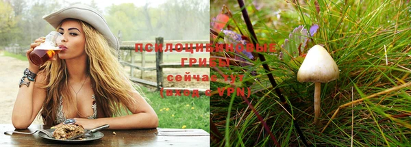 сатива Арсеньев