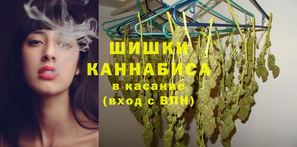 сатива Арсеньев