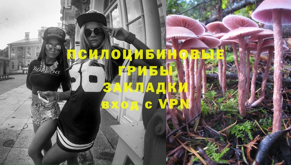 PSILOCYBIN Аркадак