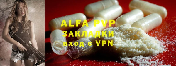 PSILOCYBIN Аркадак