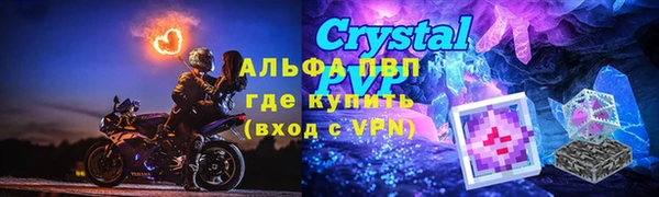 PSILOCYBIN Аркадак