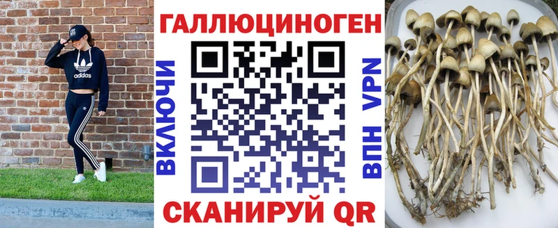 Галлюциногенные грибы мицелий Байкальск